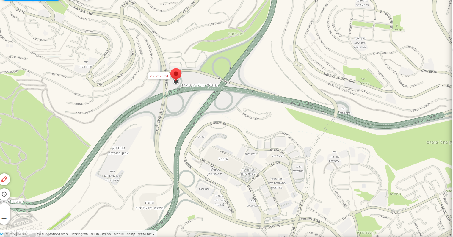 סיכה נעוצה מכזיית ארזים.PNG