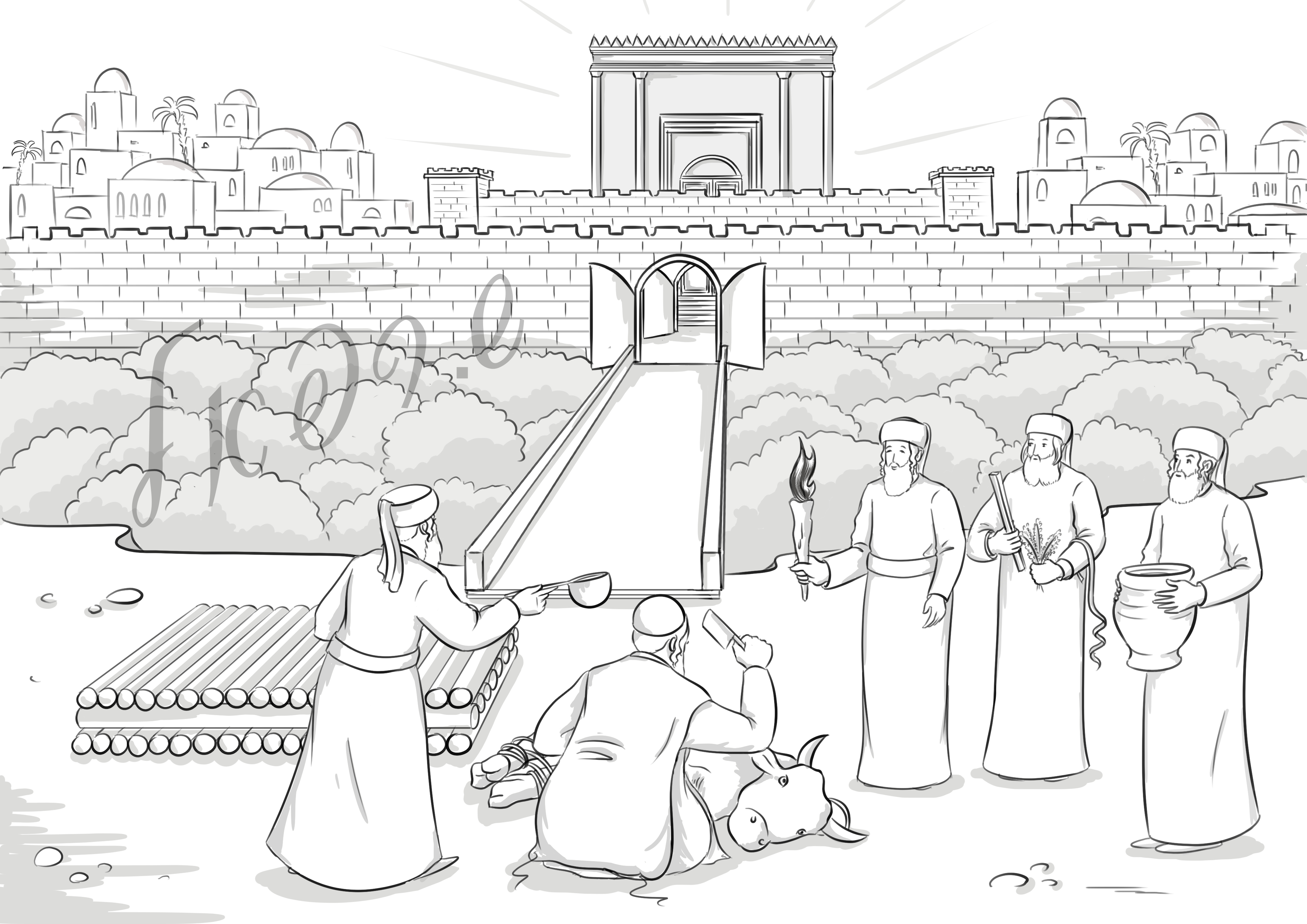 סימן מים שחיטת הפרה.jpg