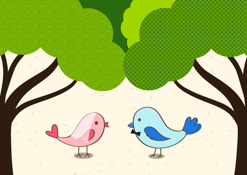 סיפורה של ציפור-03.jpg