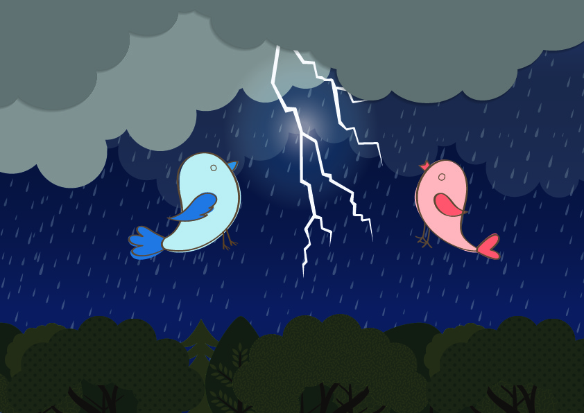 סיפורה של ציפור-05.jpg