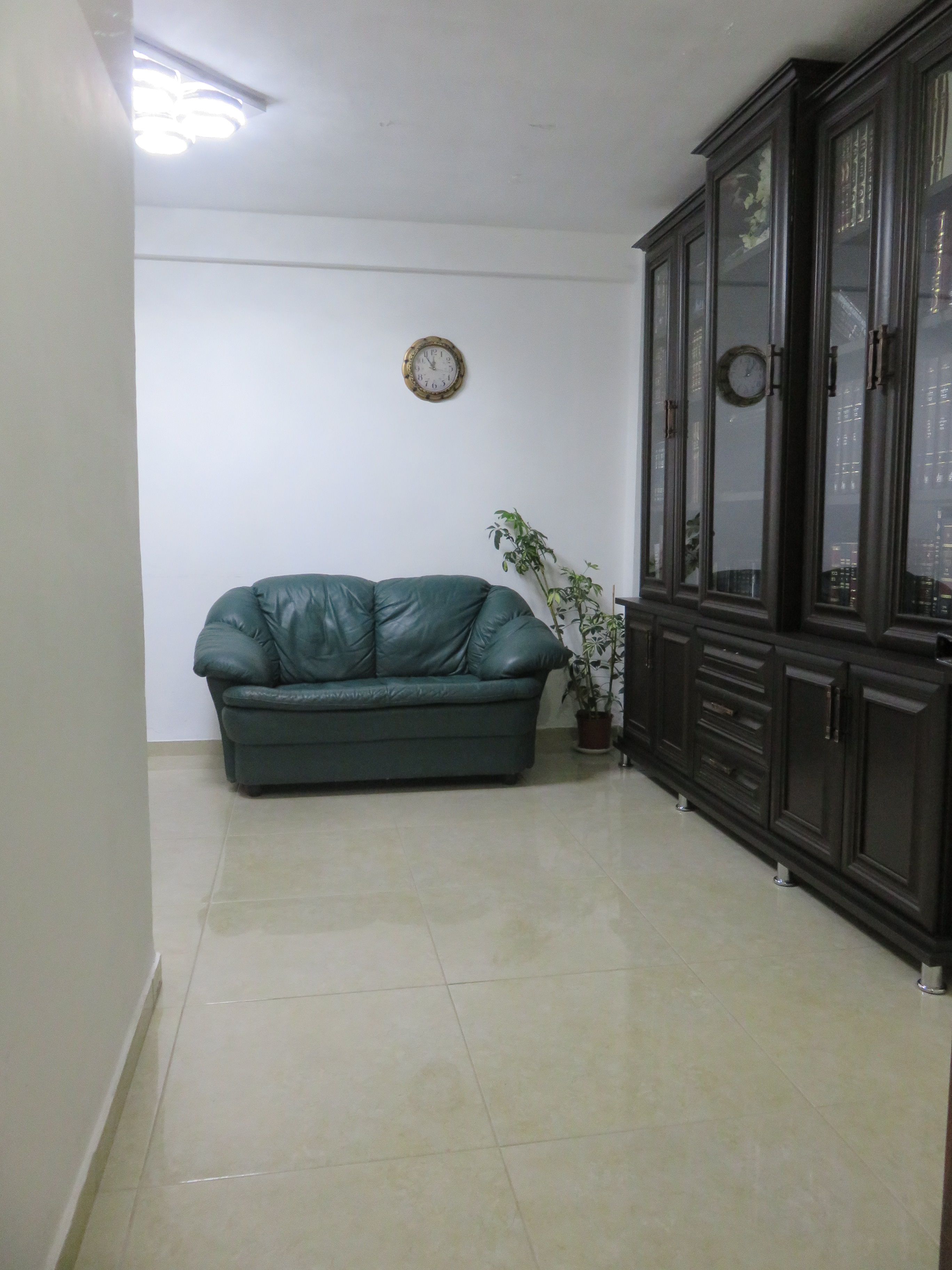 סלון- כניסה.JPG