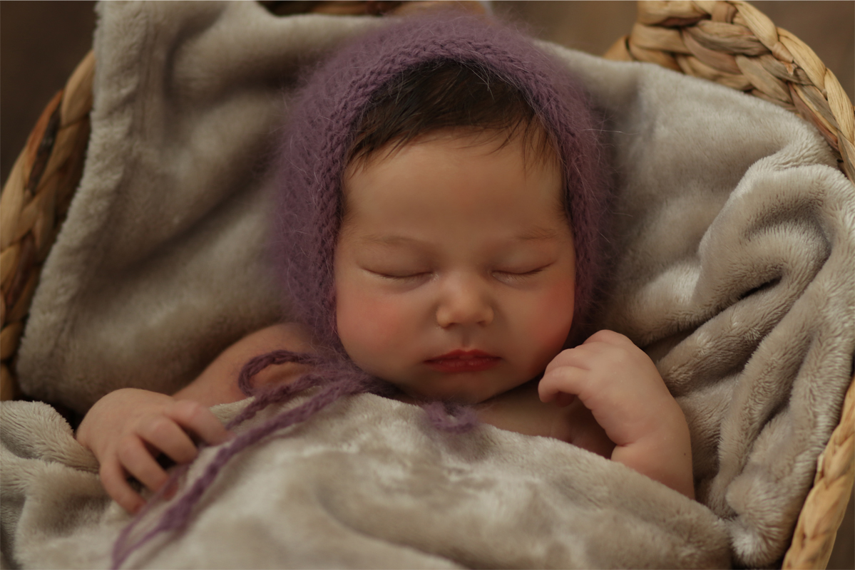 סלסלה מוקטן.jpg