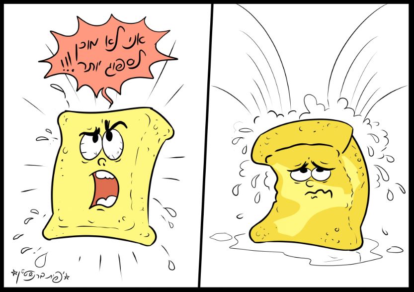 ספוג מאונש.JPG