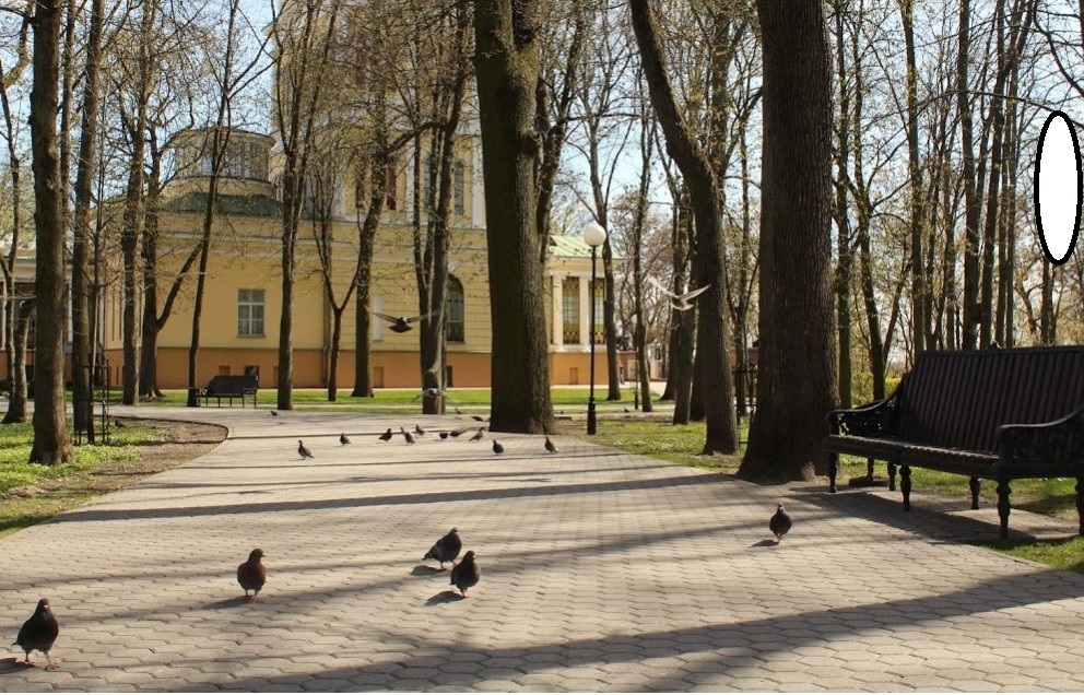 ספסל בגינה.jpg