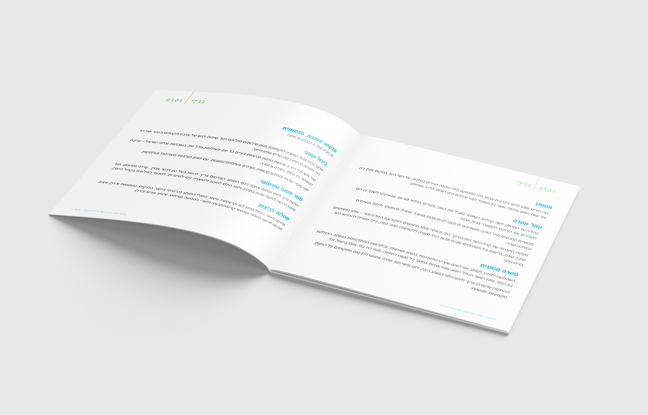 ספר מותג 3.png