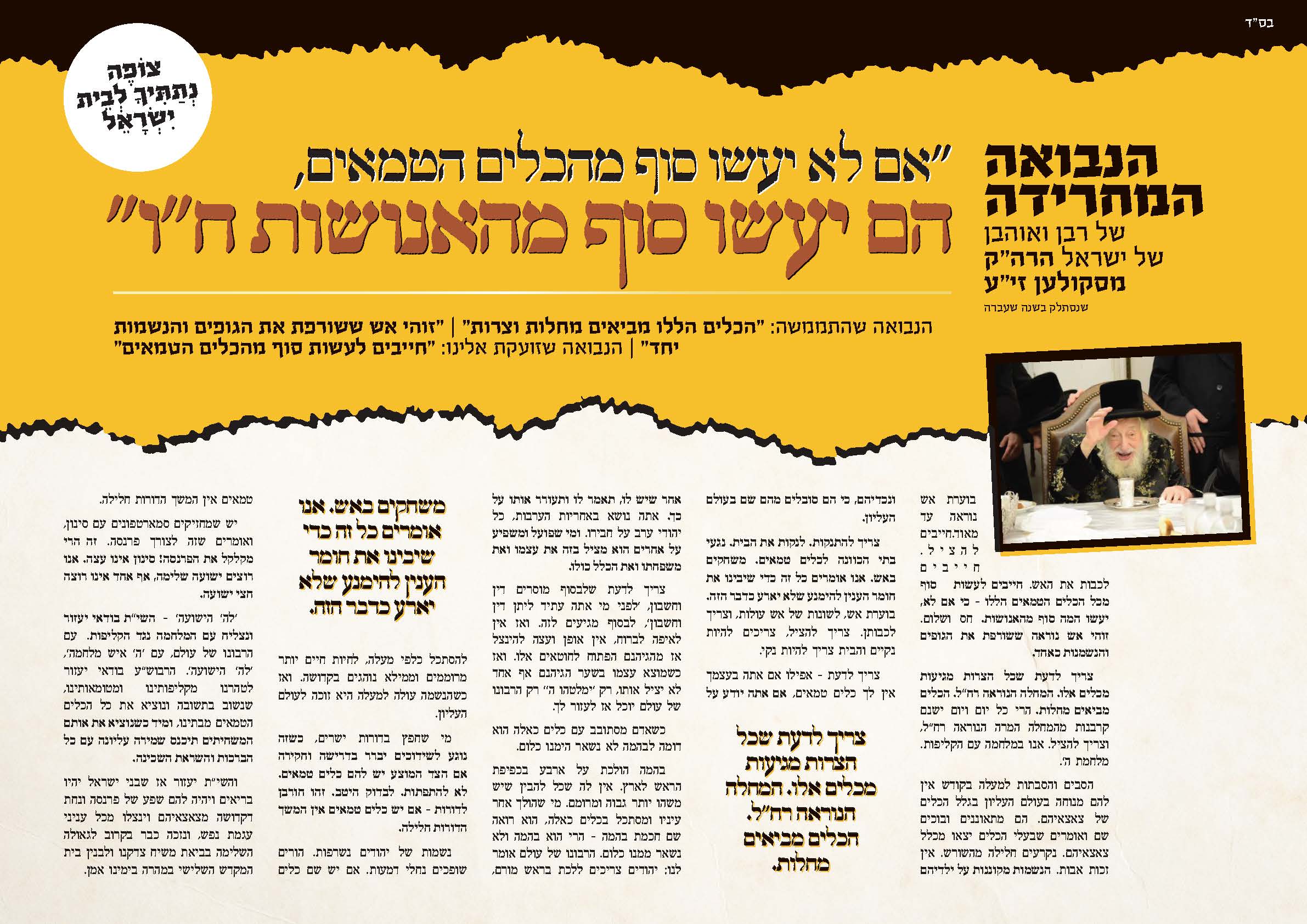 סקולען בעידן הקורונה.jpg