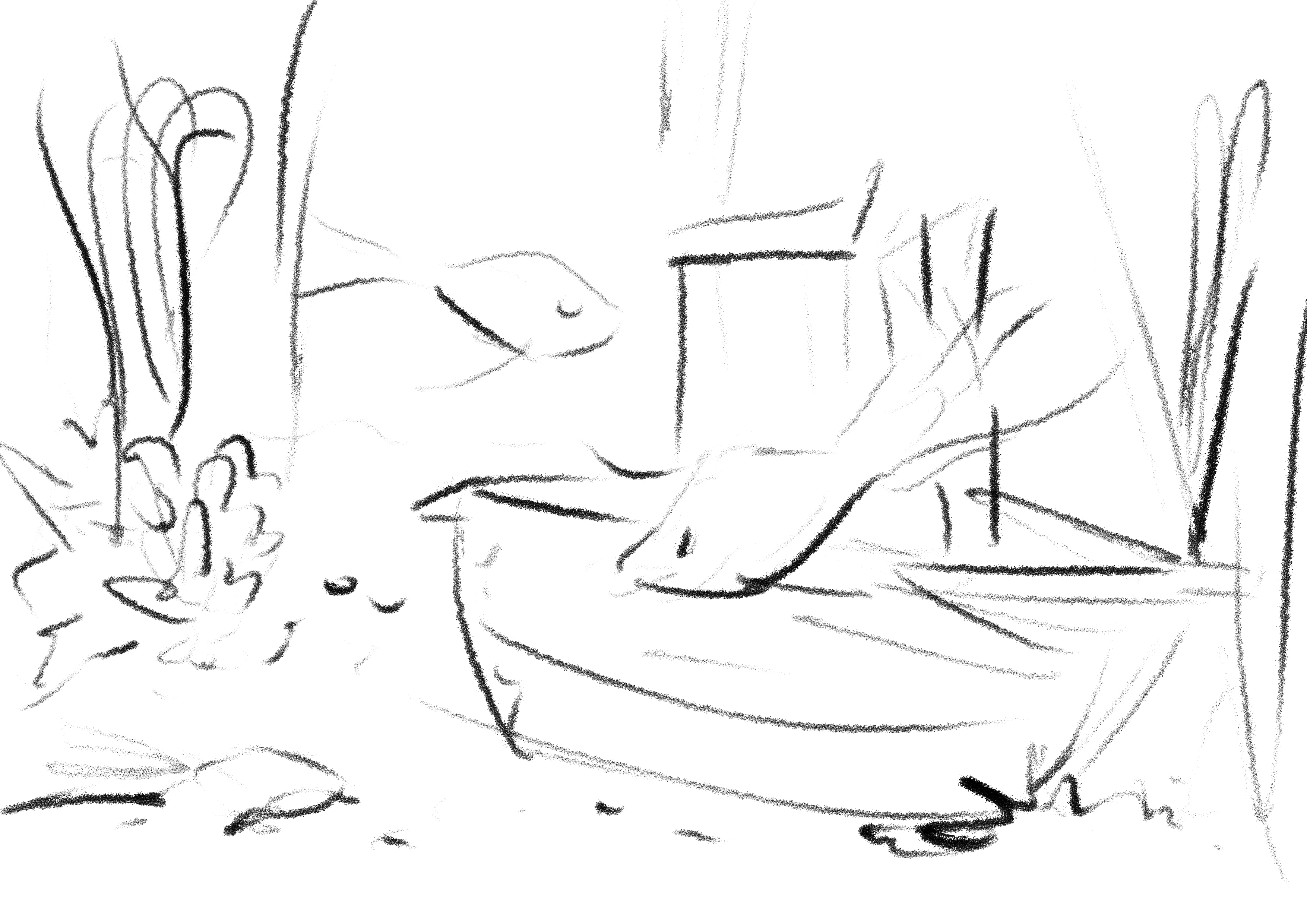 סקיצה אקווריום copy.jpg