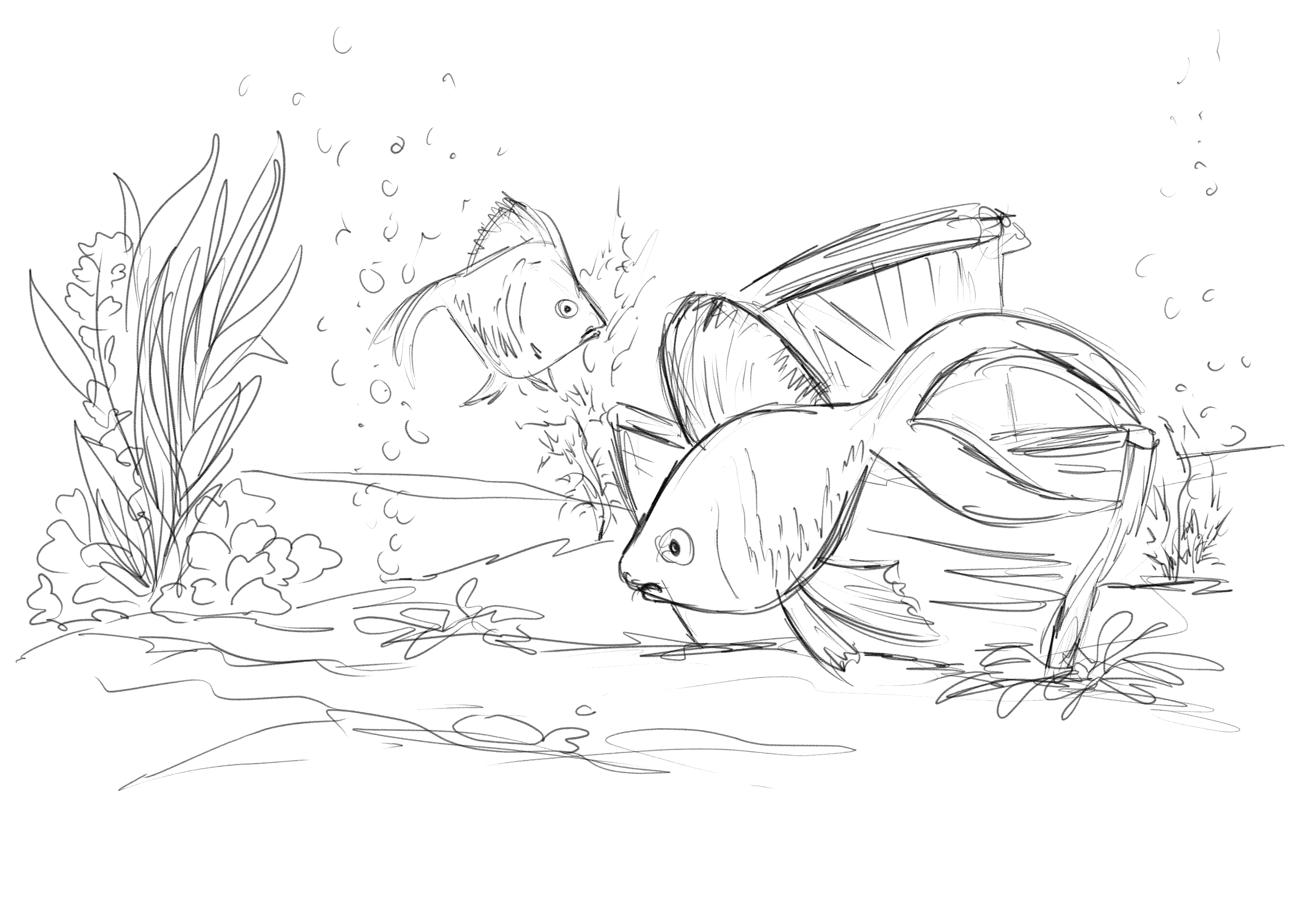 סקיצה אקווריום2 copy.jpg