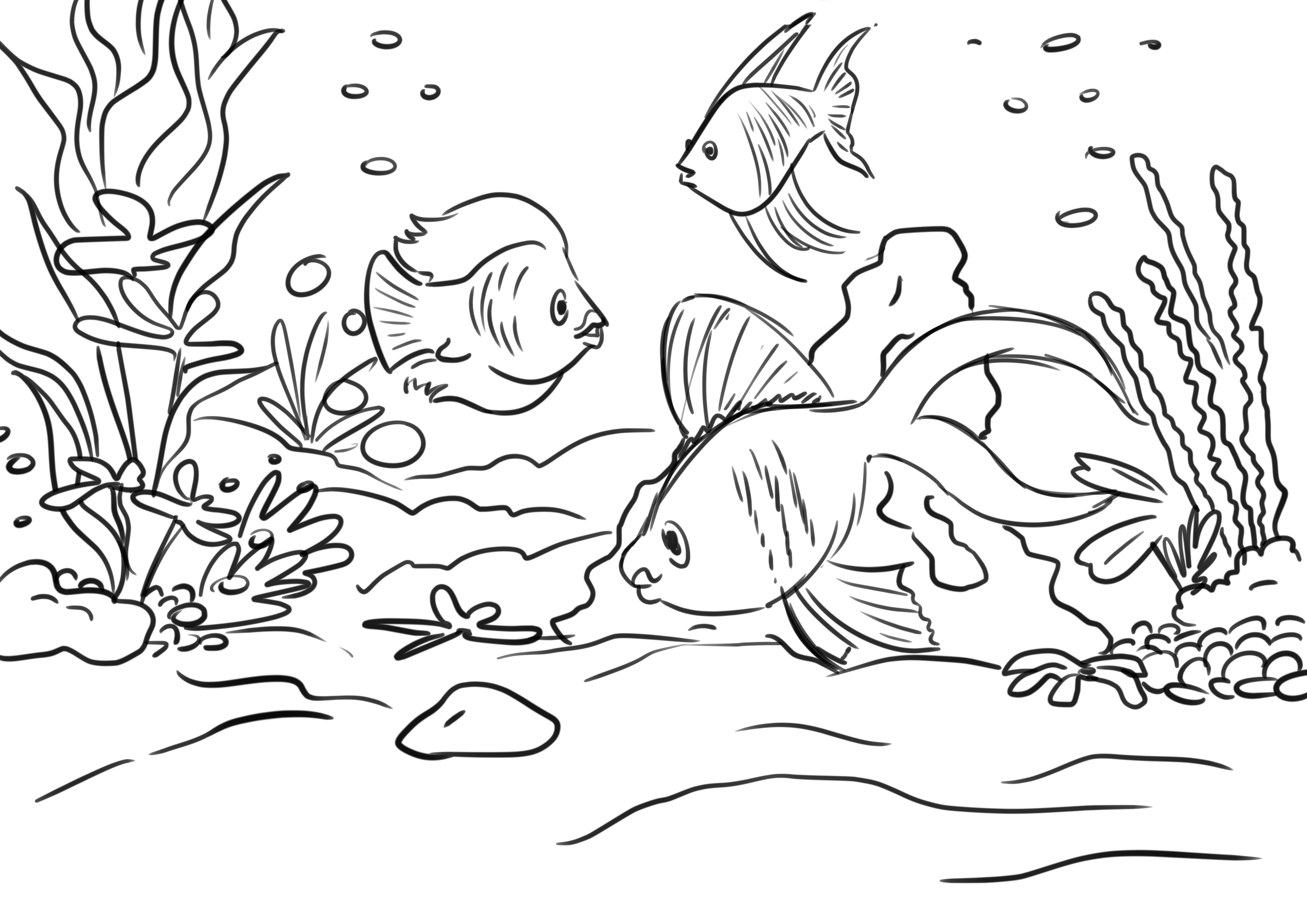 סקיצה אקווריום2 copy.jpg