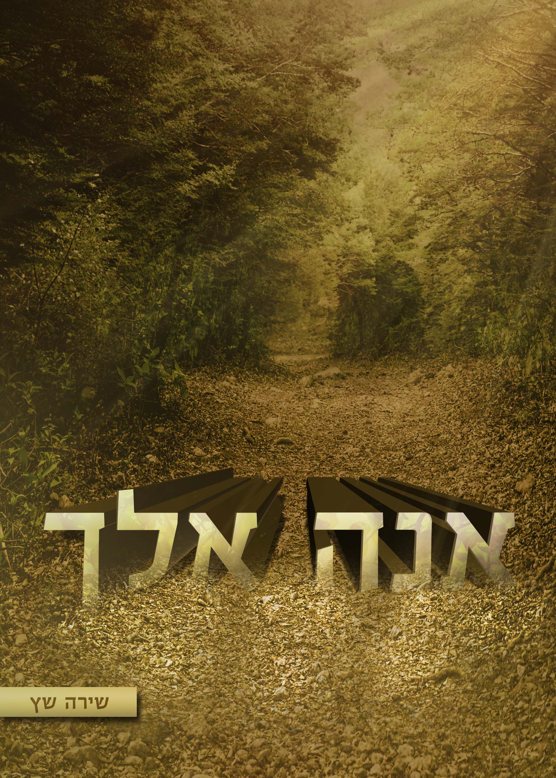 סקיצה כריכה.jpg