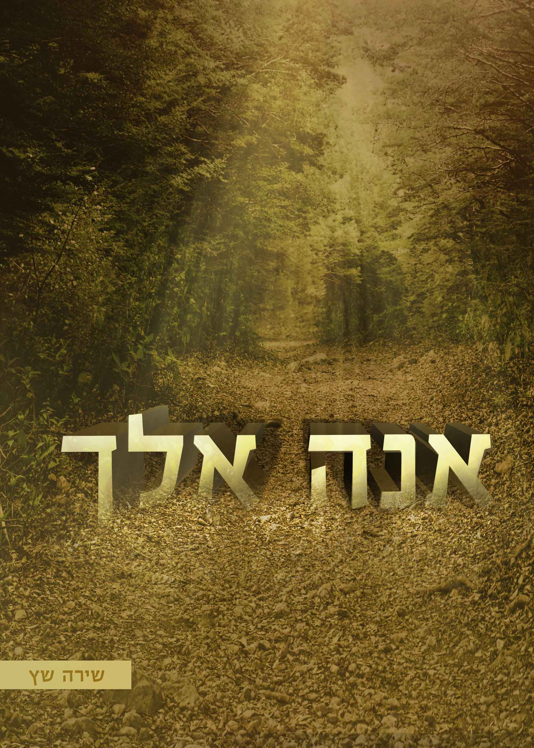 סקיצה כריכה.jpg