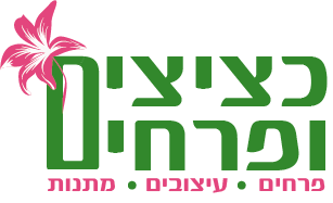 סקיצה3.png