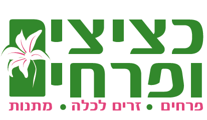 סקיצה4.png
