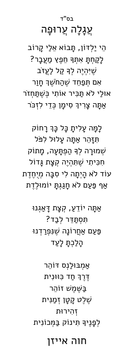 עגלה ערופה.PNG