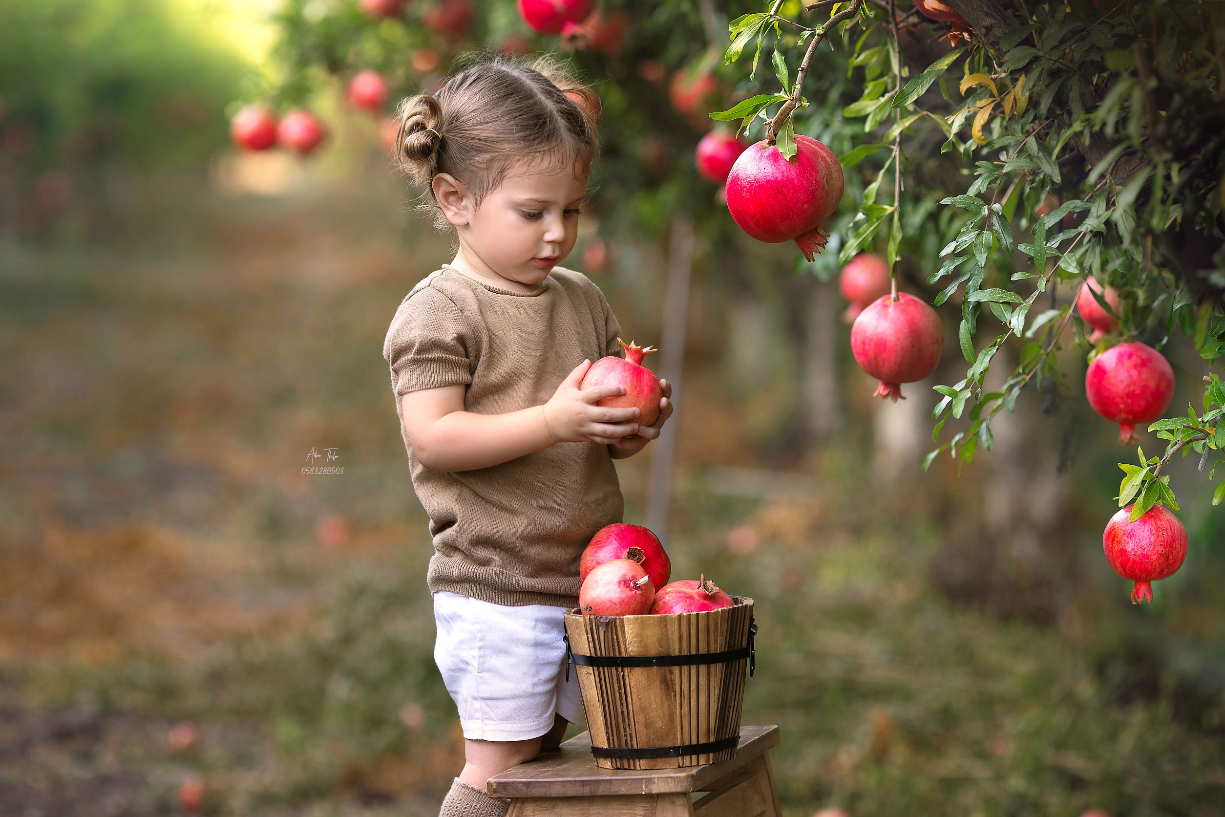 עדינה טהלר צילום רימונים 2.jpg