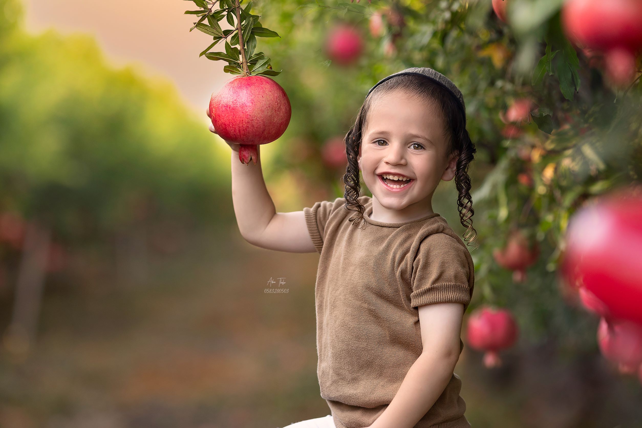 עדינה טהלר צילום רימונים 3.jpg