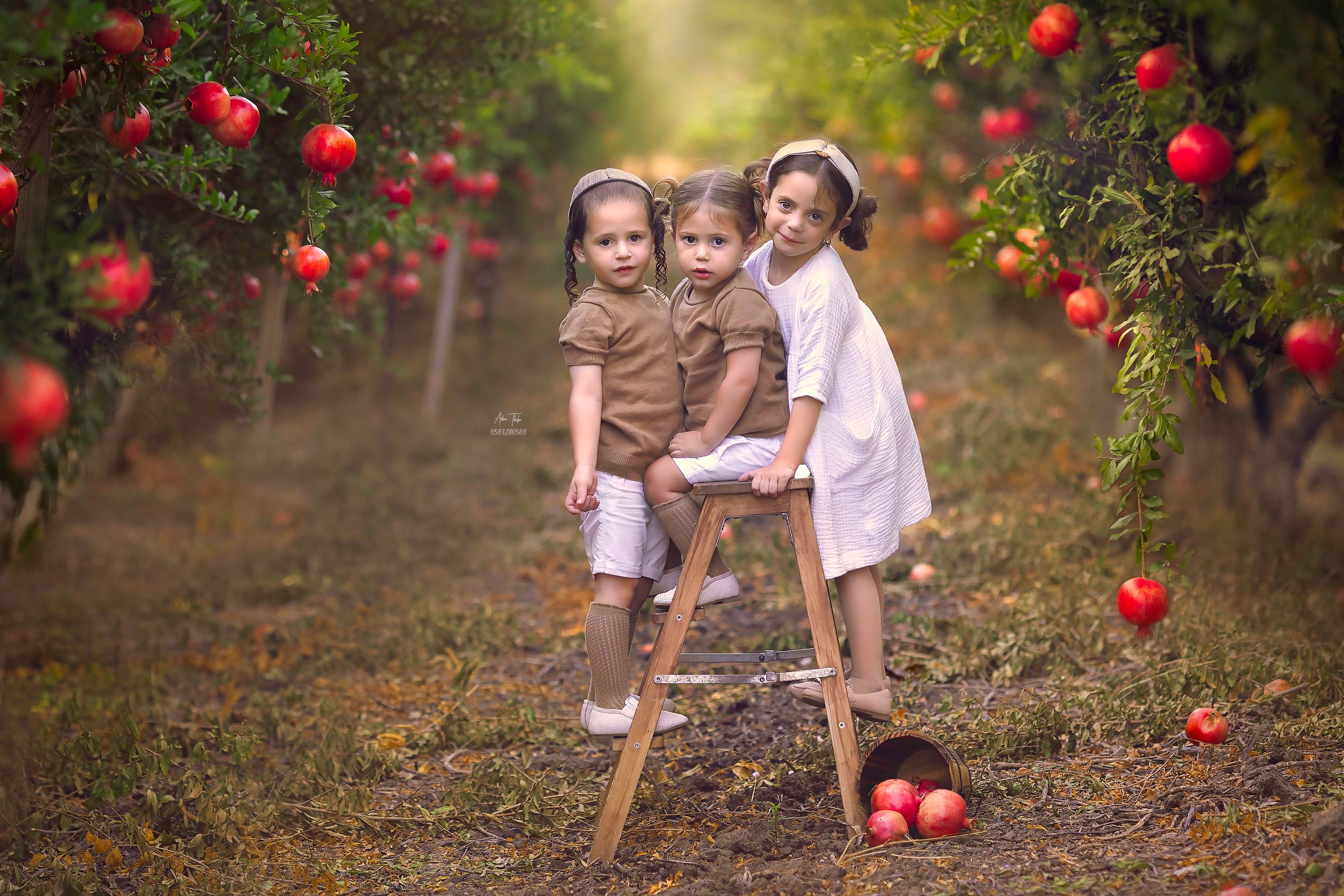 עדינה טהלר צילום רימונים.jpg