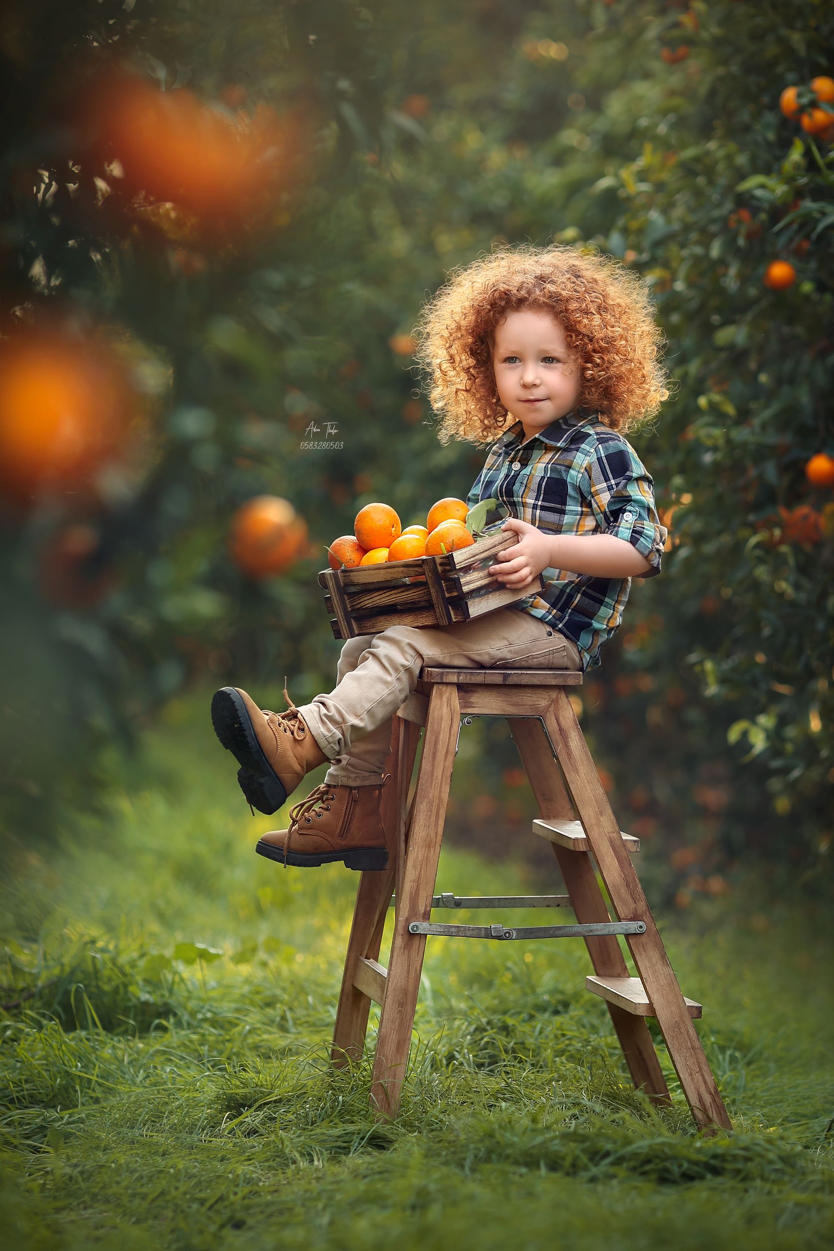 עדינה טהלר צילום (1).jpg