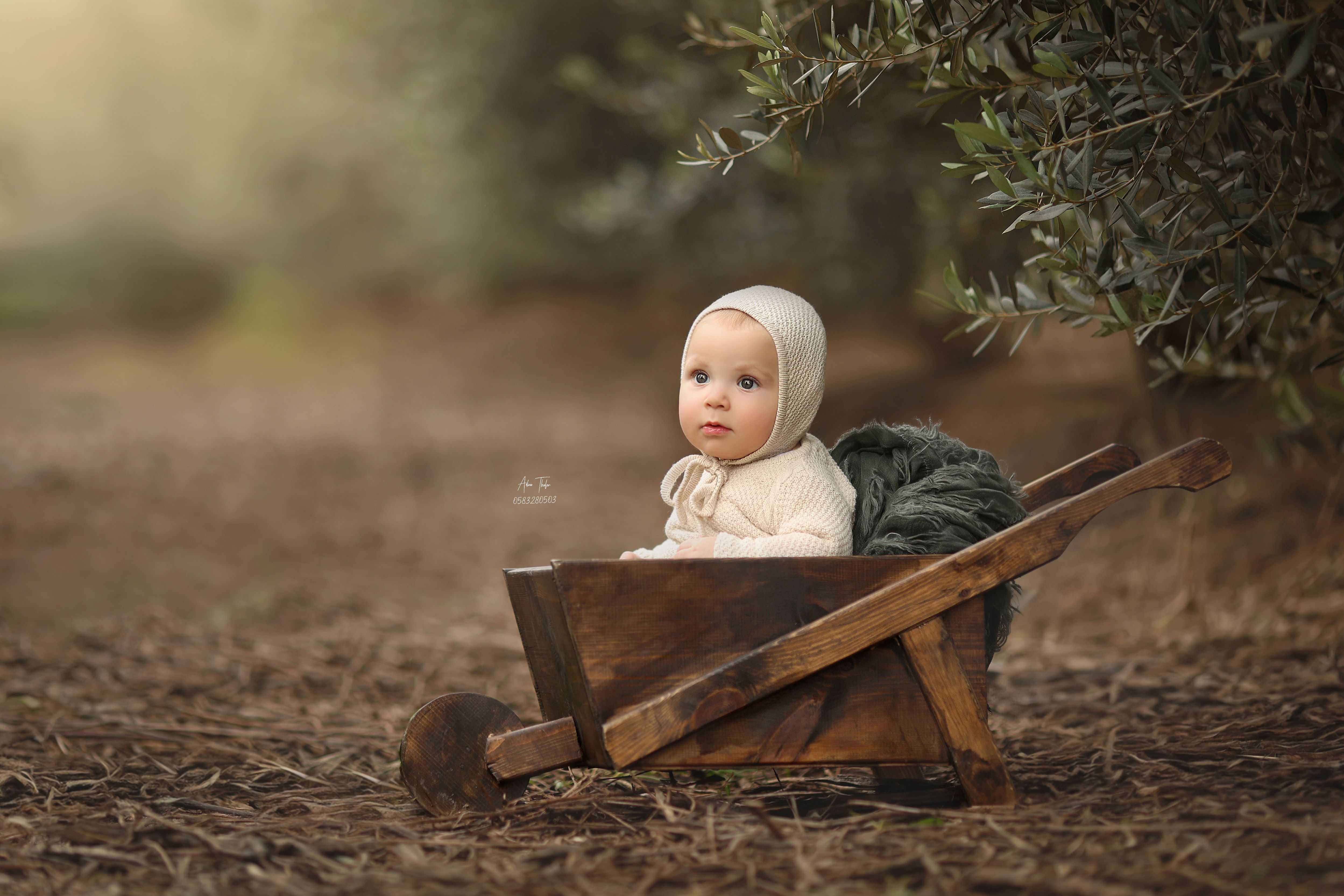עדינה טהלר צילום (10).jpg