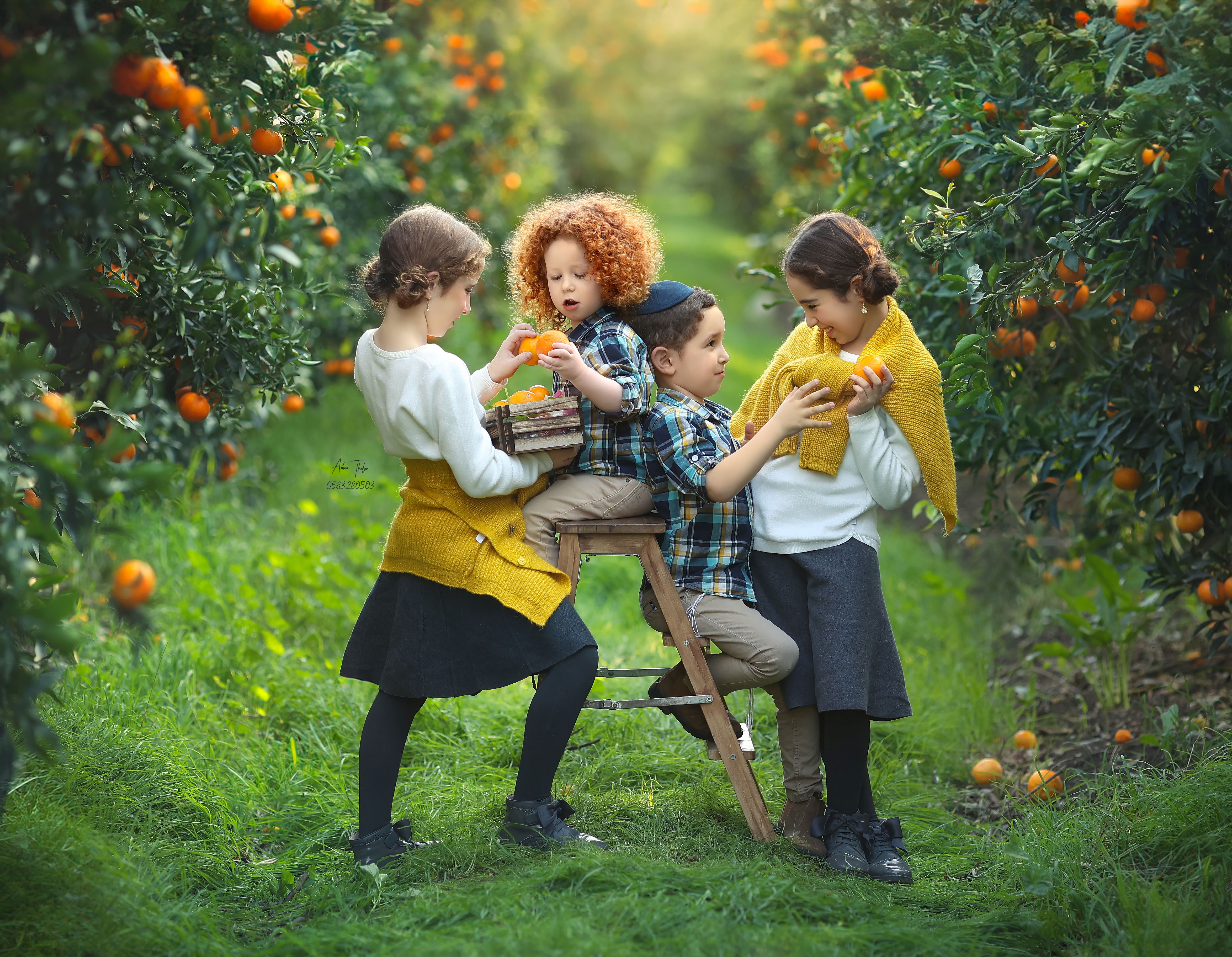 עדינה טהלר צילום (2).jpg