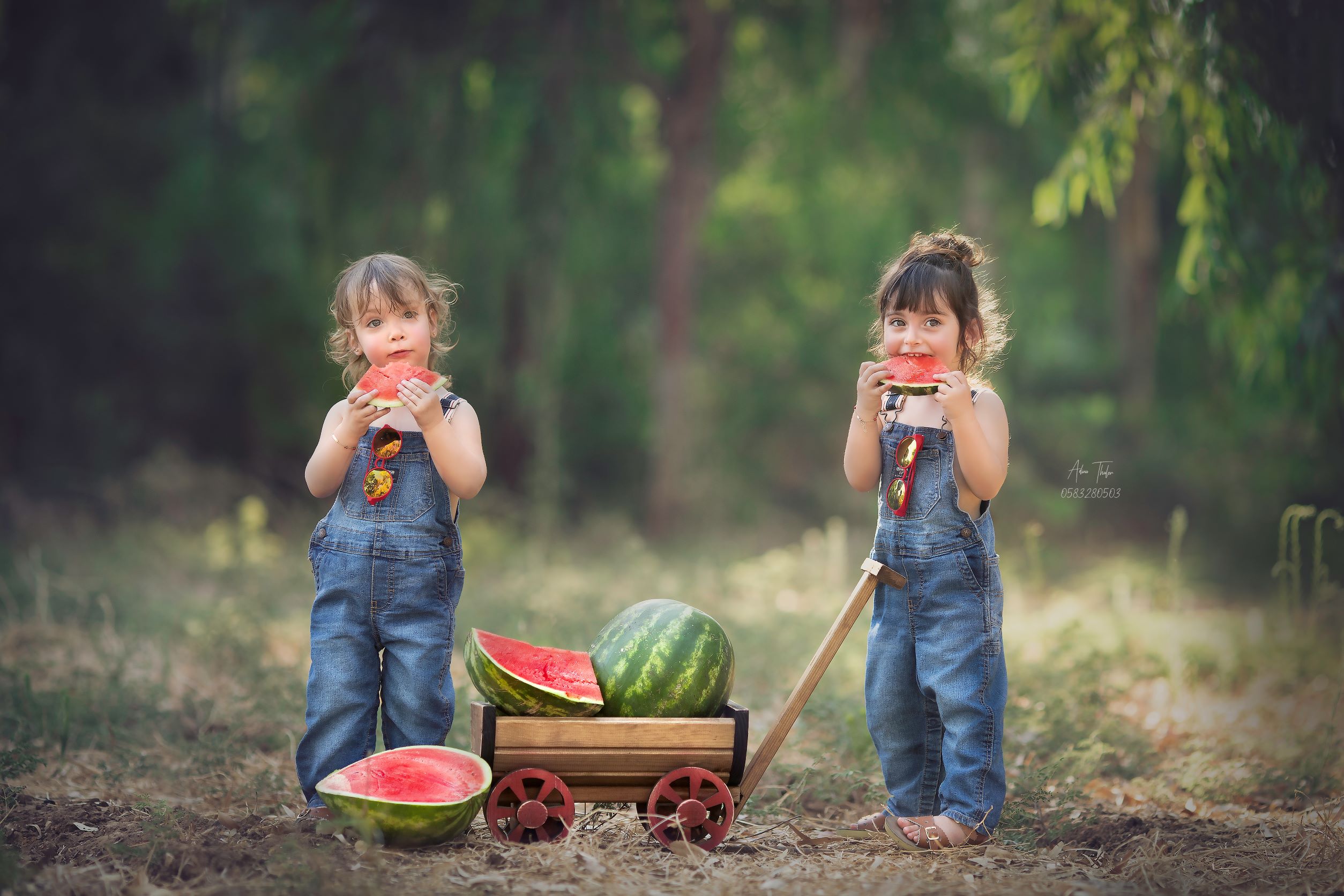 עדינה טהלר צילום (3).jpg