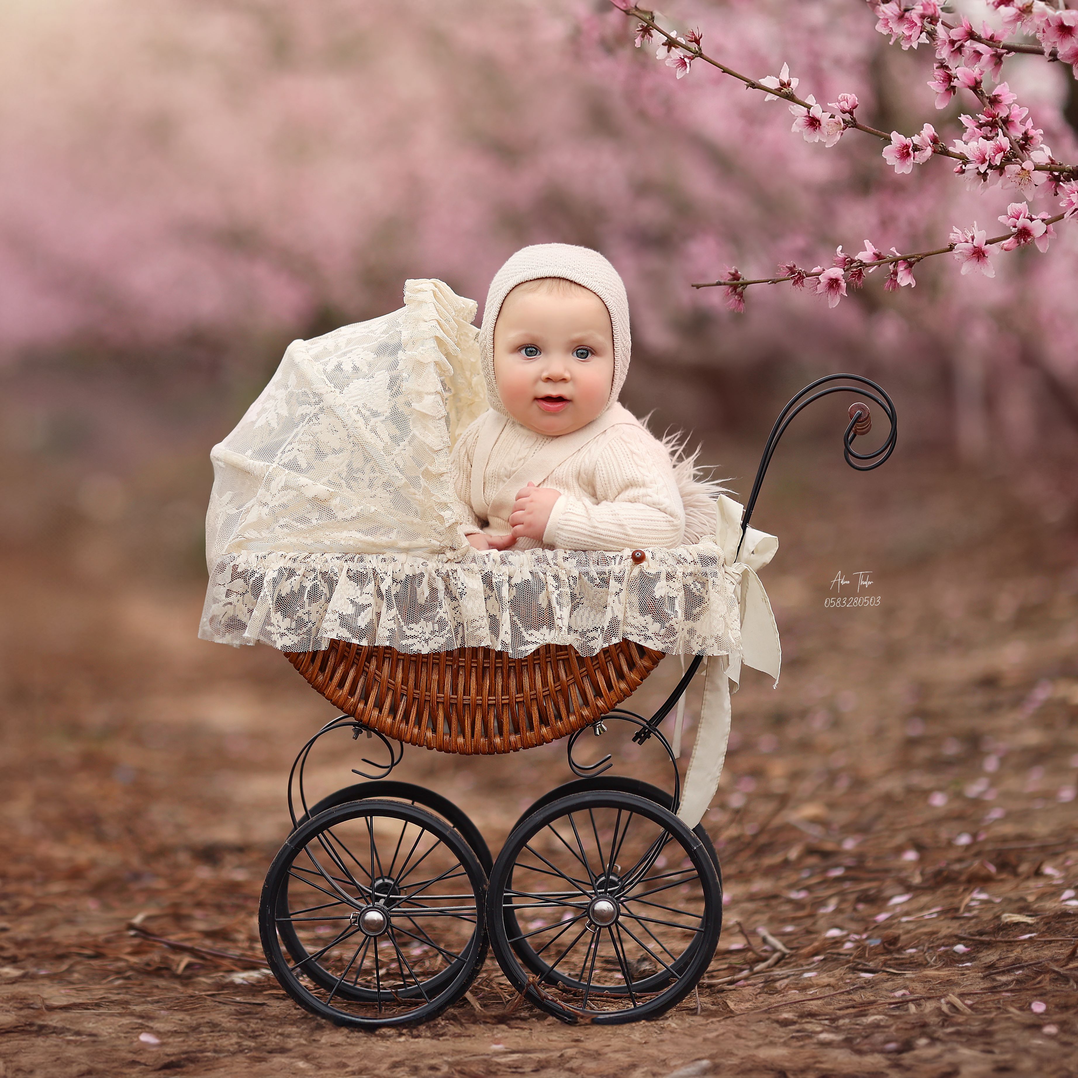 עדינה טהלר צילום (3).jpg