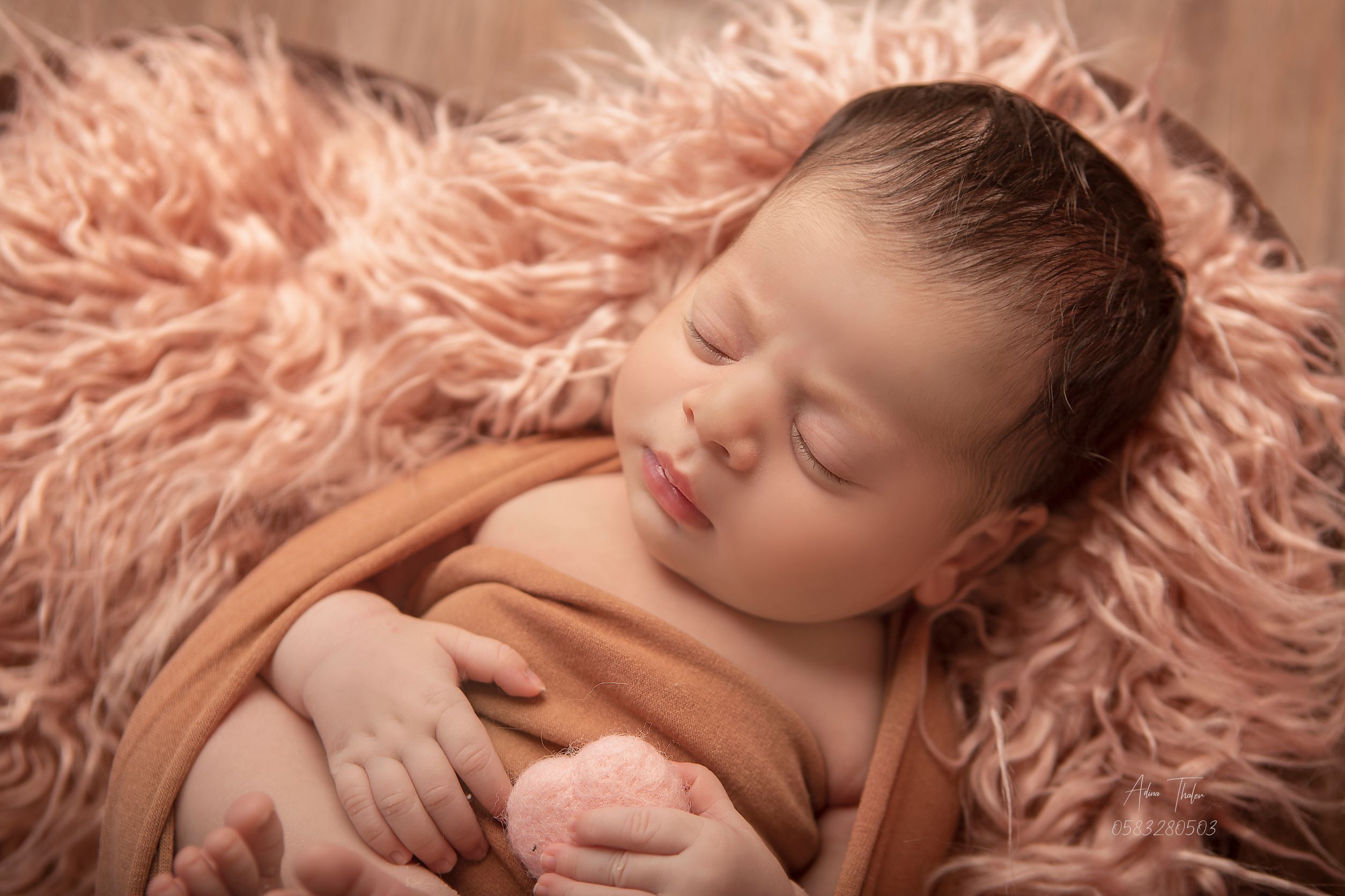 עדינה טהלר צילום (5).jpg