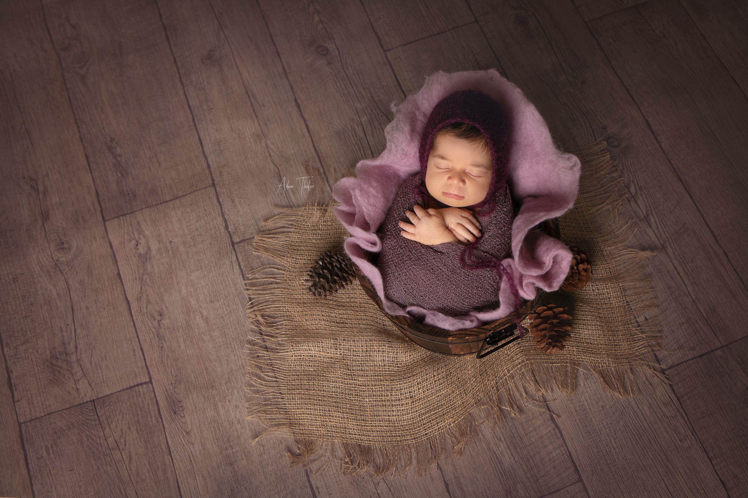 עדינה טהלר 5.jpg