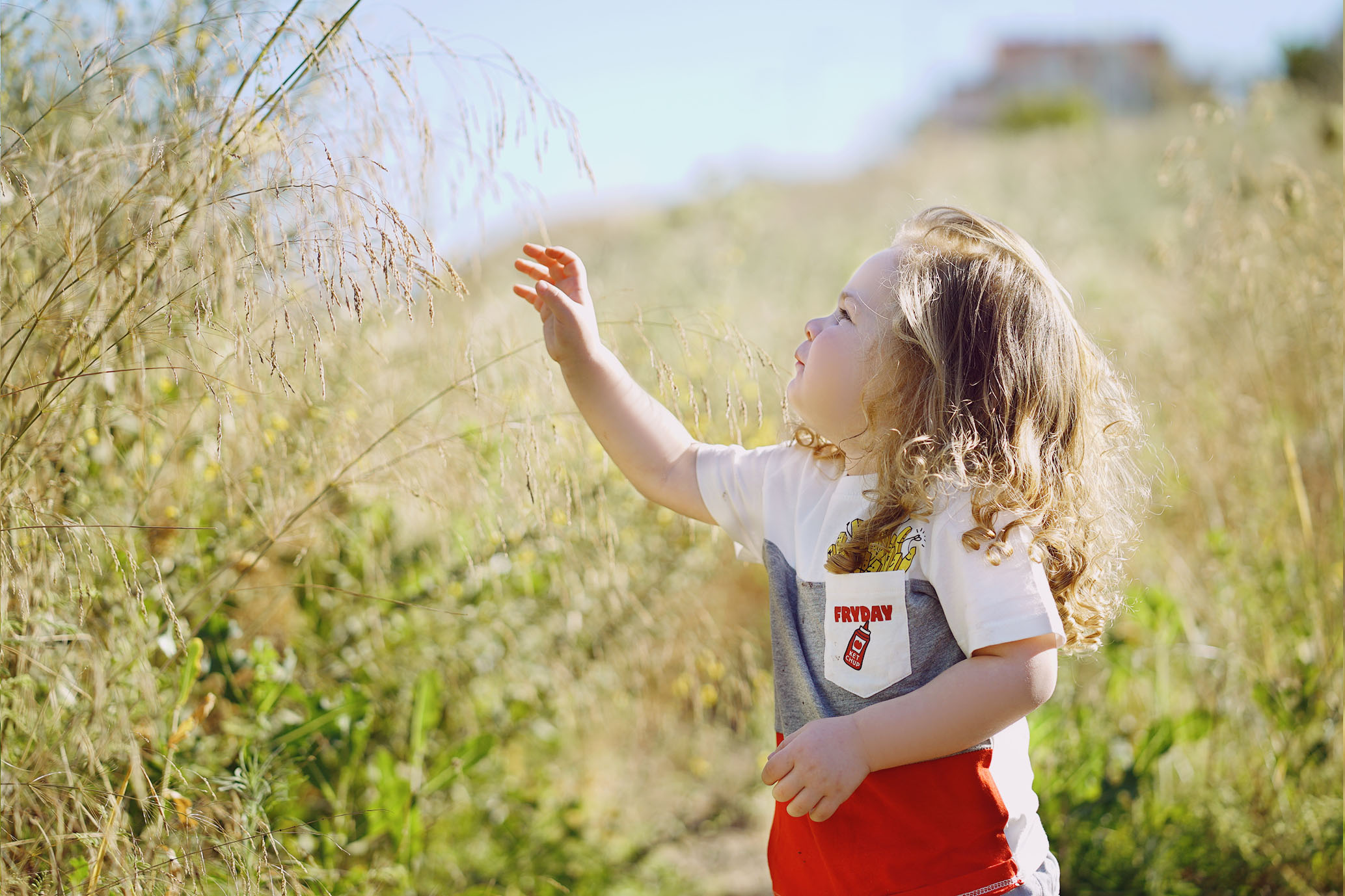 עוד קוצים.jpg