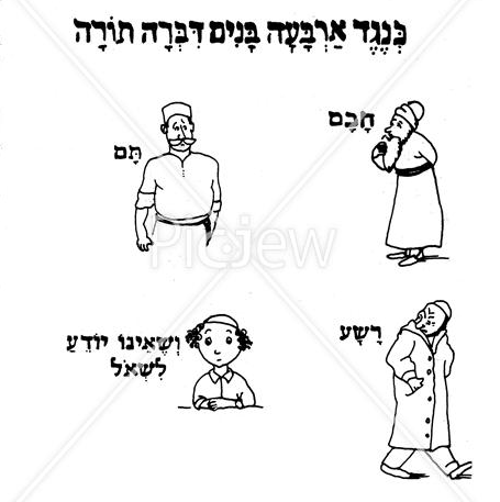 עוד.PNG