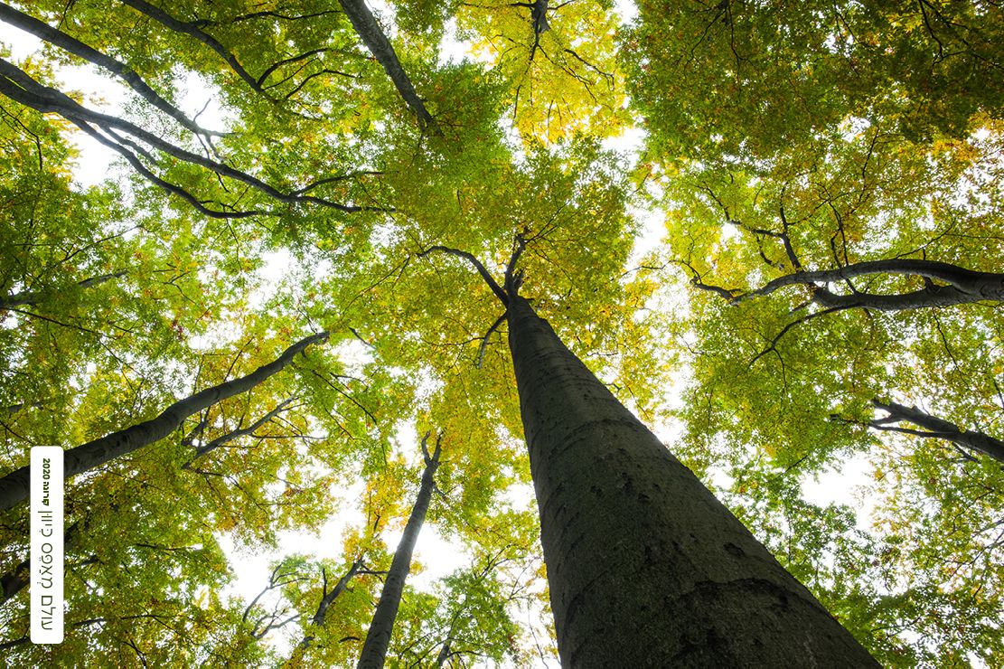 עולם מאפס כיוון.jpg