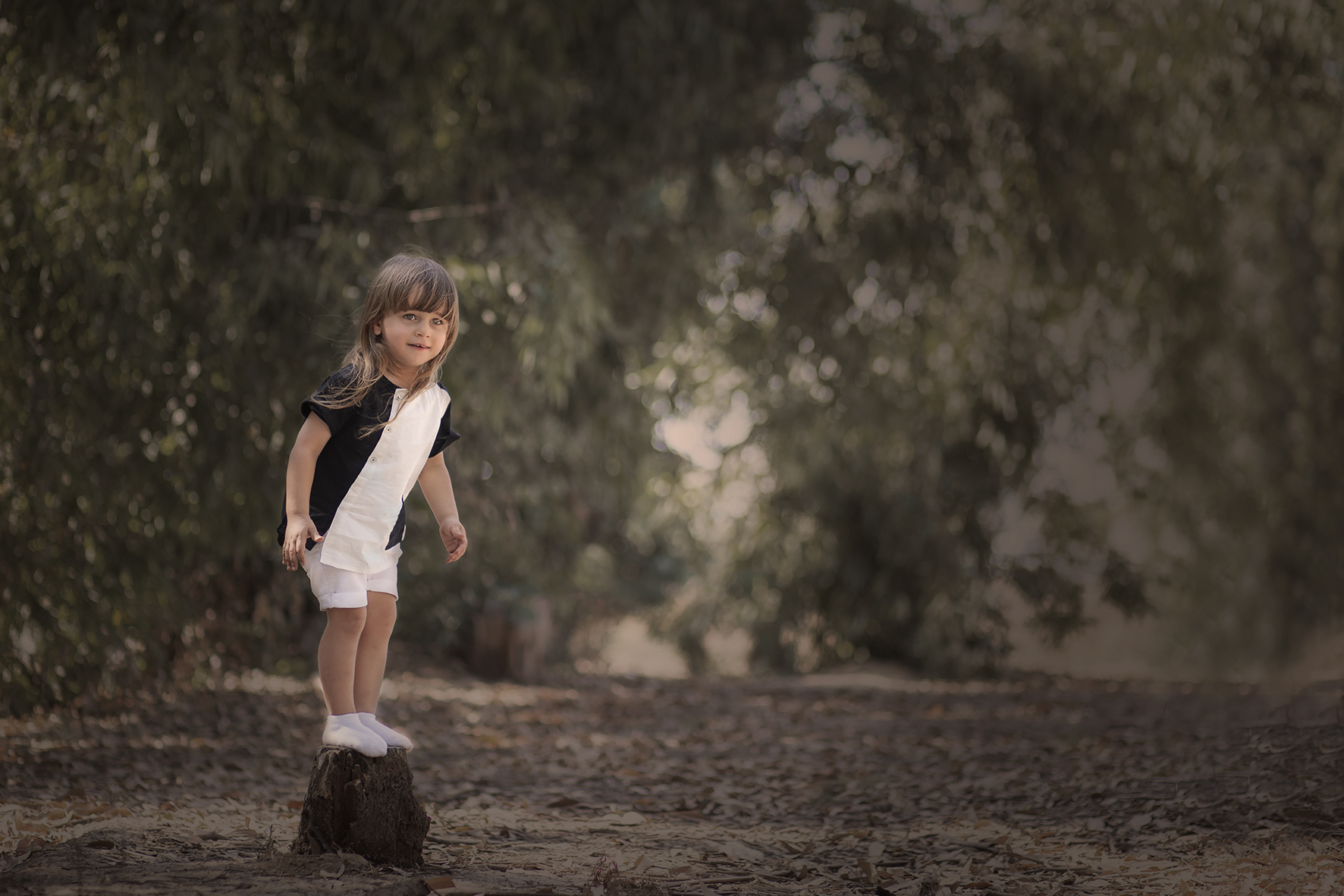 עומד על עץ מוקטן.jpg