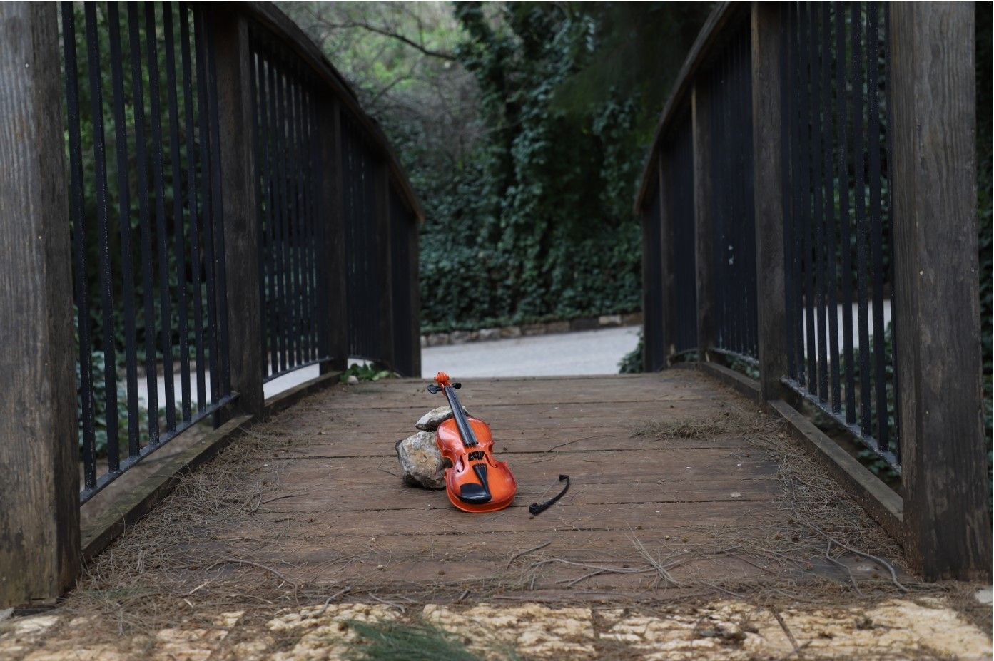 עומק שדה גדול.jpg