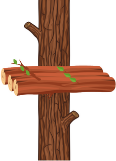 עותק של לוח תכנון.png