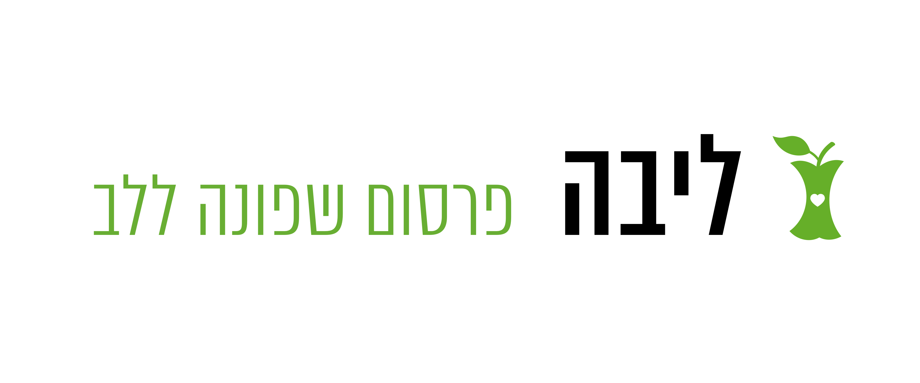 עותק של קרדיט ליבה.png
