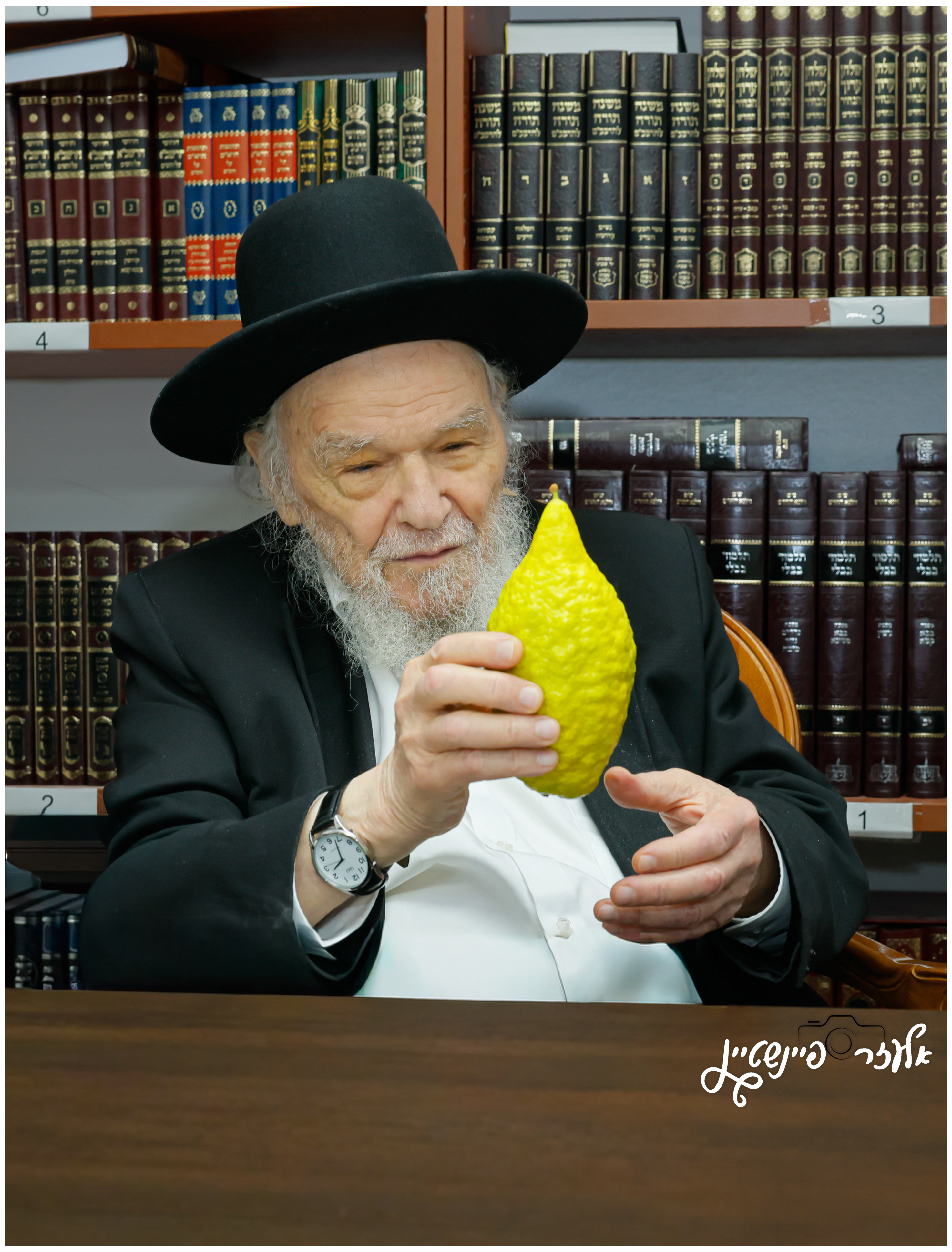 עותק של _12A0473 (1) (4).jpg