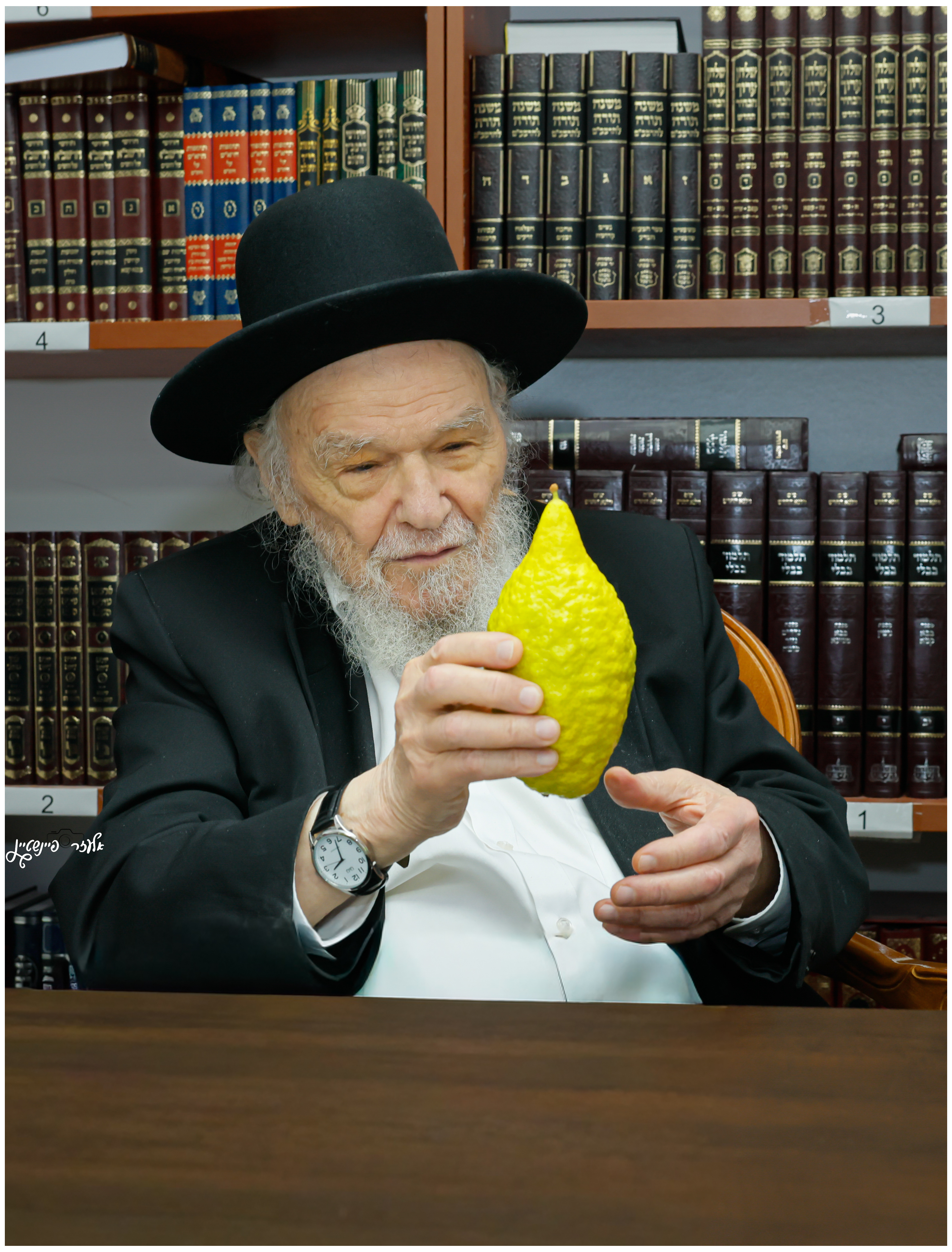 עותק של _12A0473 (1).jpg