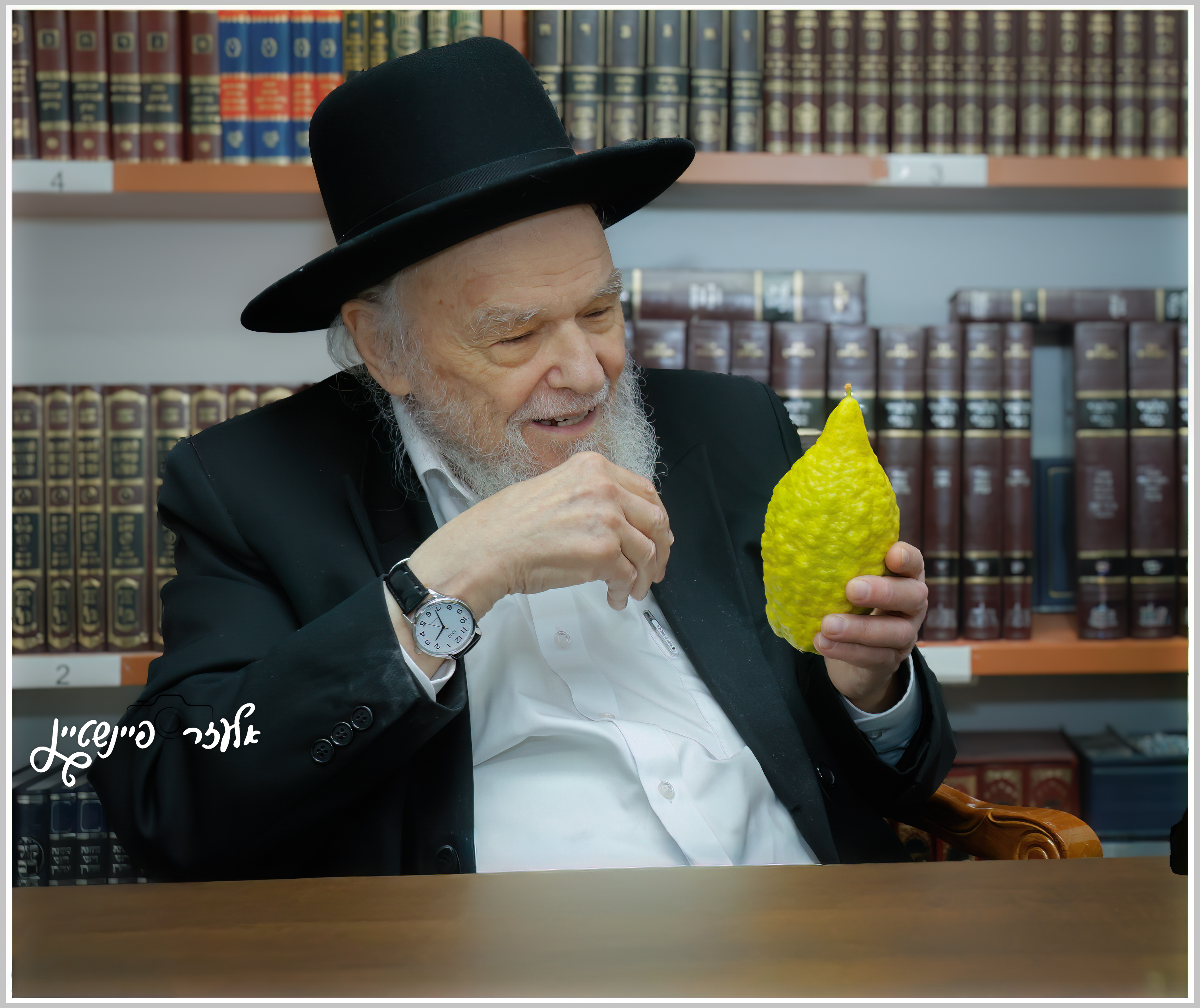 עותק של _12A0482-2-DeNoiseAI-low-light (1).jpg