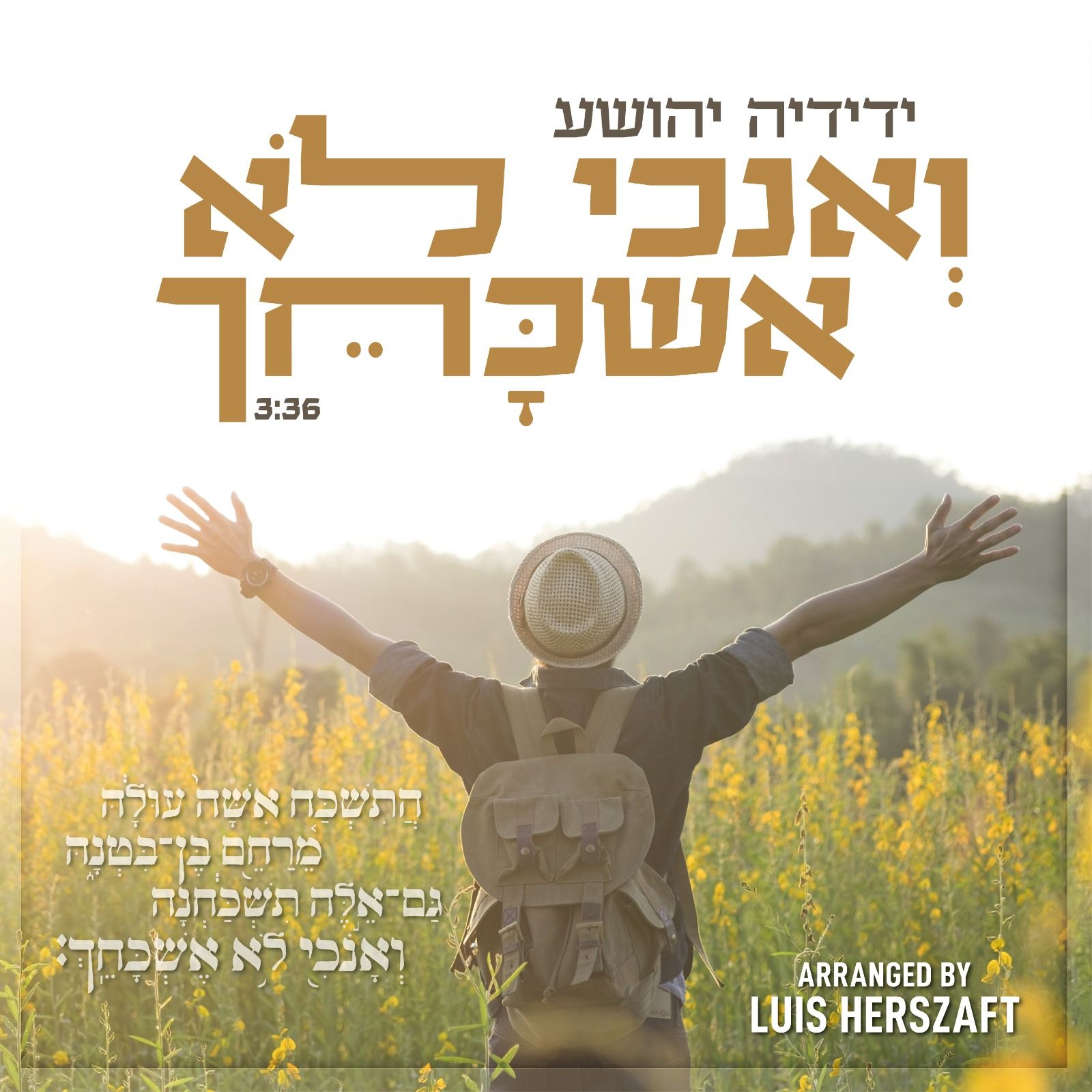 עטיפה ואנכי לא אשכחך.jpeg