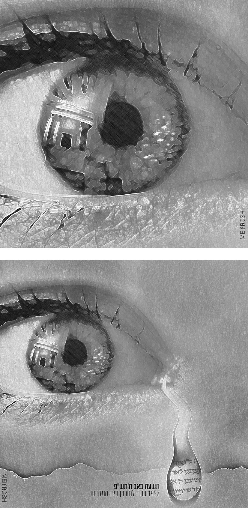 עין MeirRoshDesign3.jpg