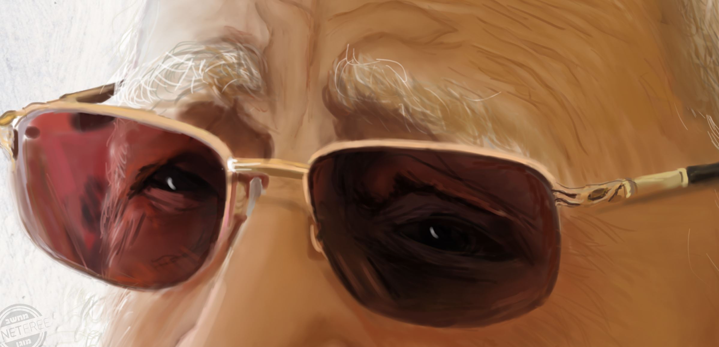 עיניים מרן.JPG