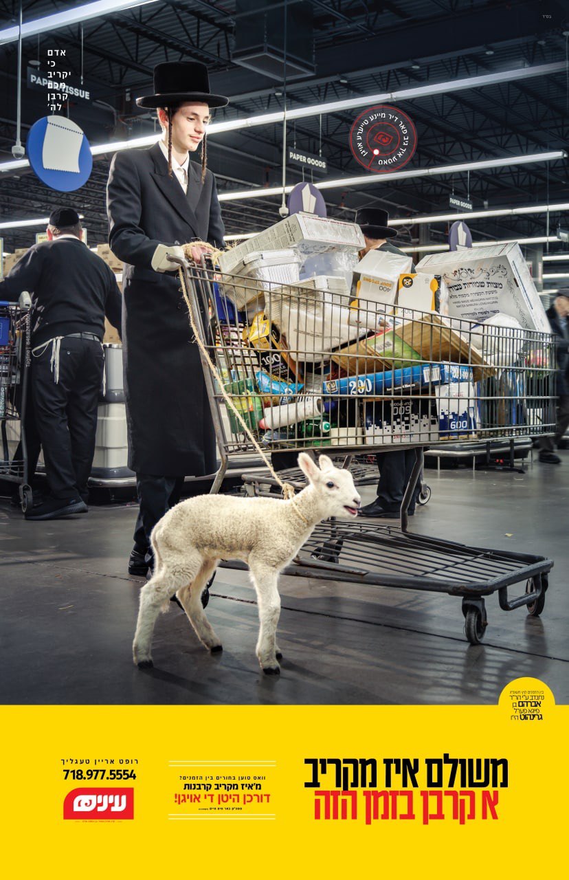 עינים - טעגליין (2).jpg