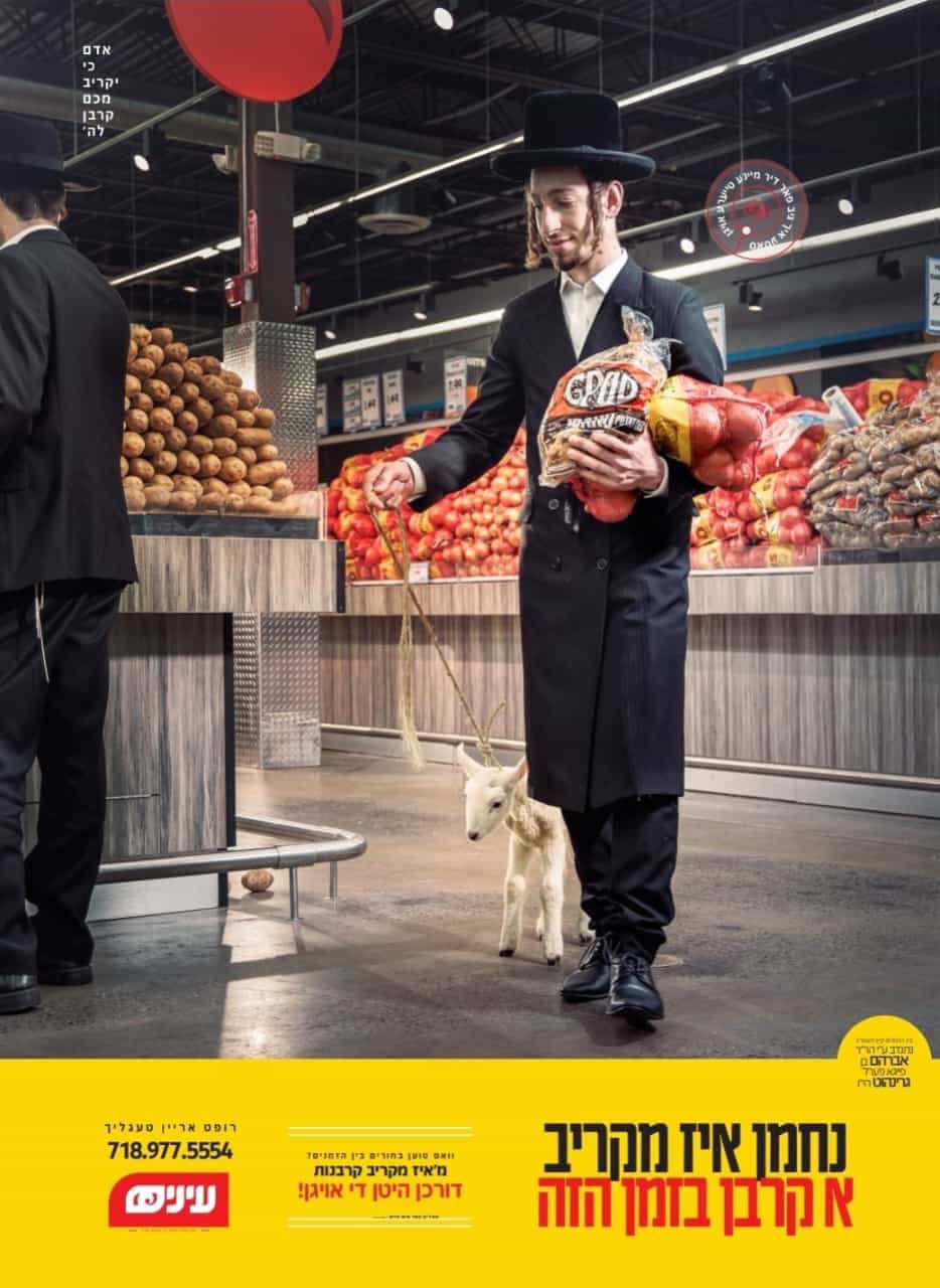 עינים - טעגליין (3).jpg