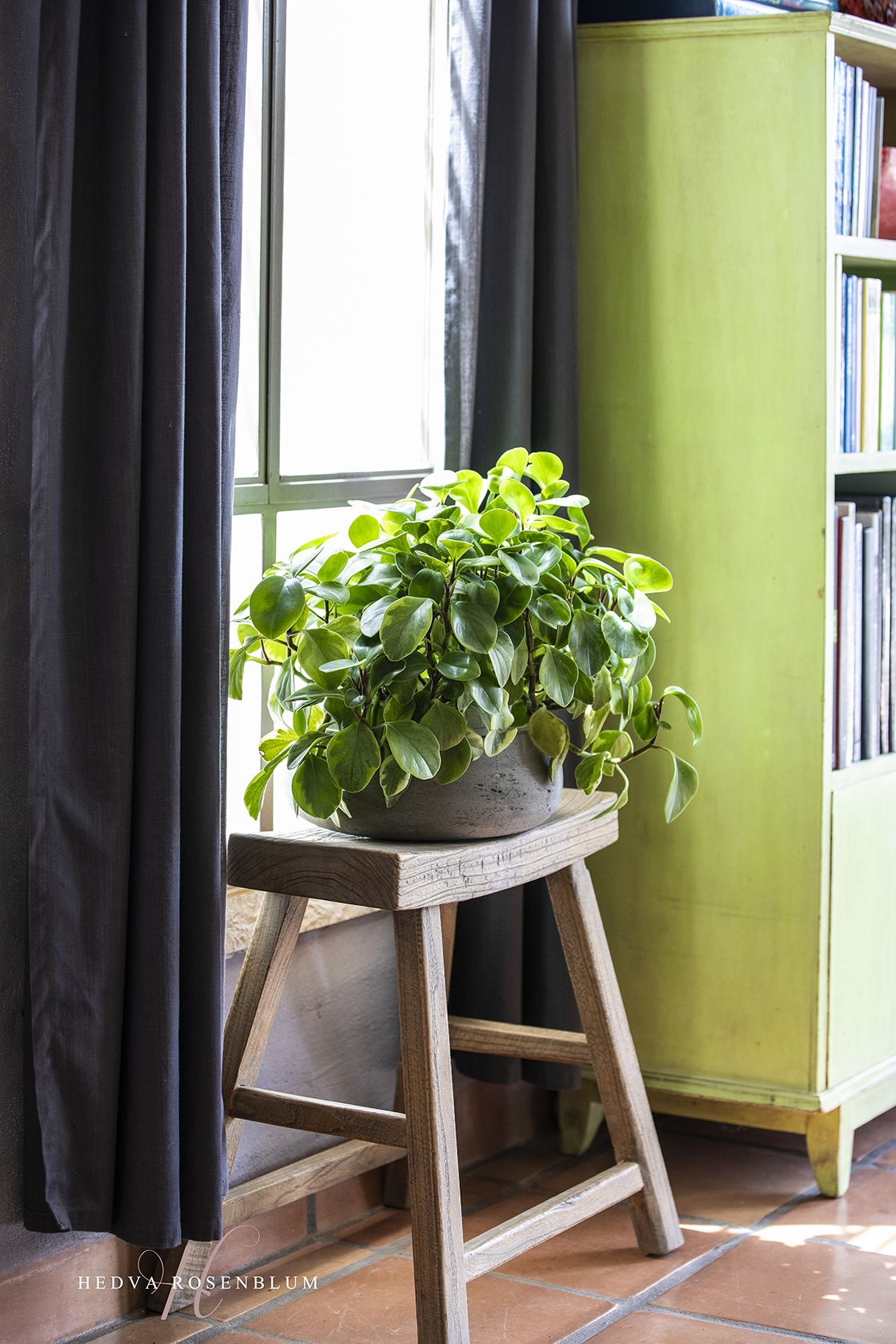 עיצוב פנים הבית של לי  (4).jpg