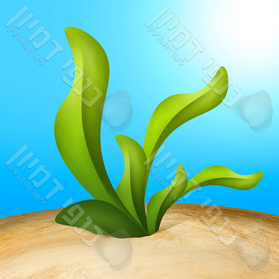 עלים גדלים באדמה כנפי דמיון.jpg