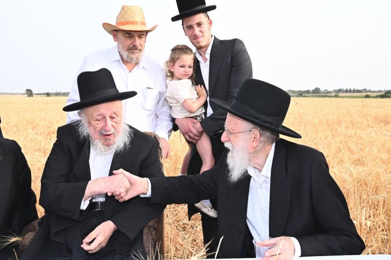 עם הגר''ש גלאי בקצירת חיטים תשפ''ה.jpg