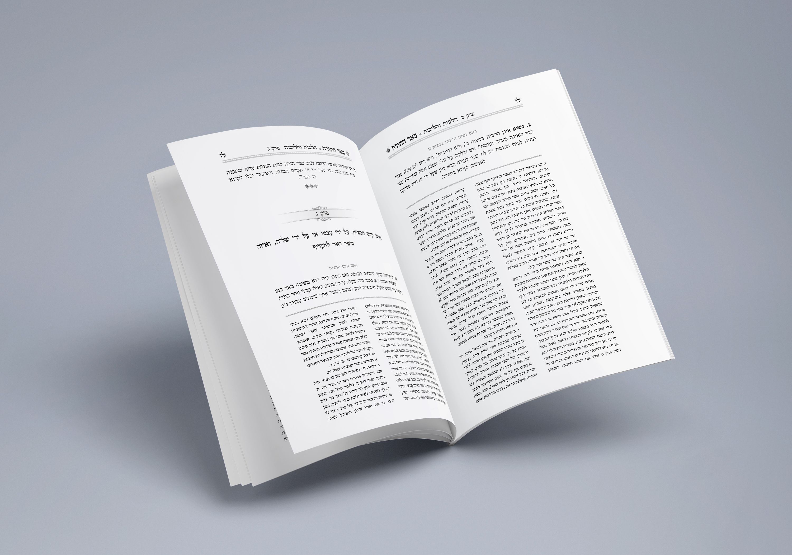 עמודים פנימיים 2.jpg