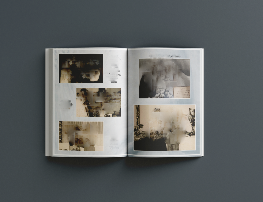 עמודי תמונות מטושטש.PNG