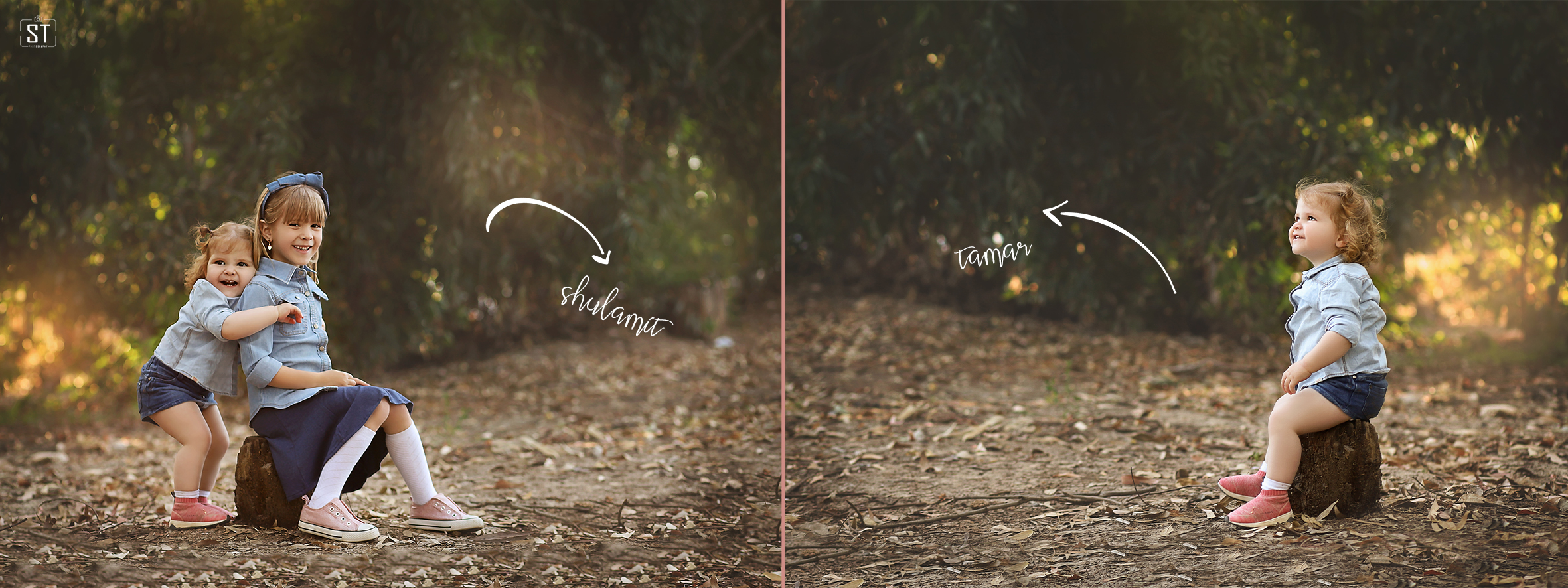 עמוד גזע חיצים שמות מ.jpg