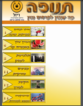 עמוד השער.png